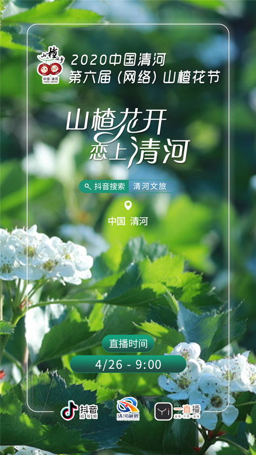 又到山楂花开时 清河邀您“云赏花”共赴网络山楂花节