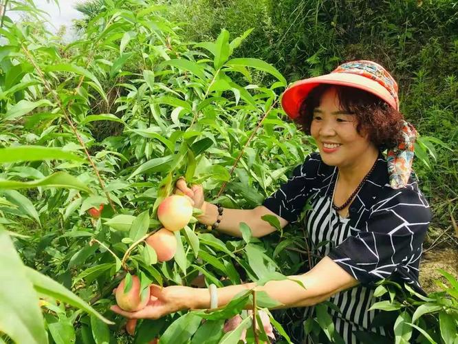 云水湾乐游·2019七月桃园盛宴